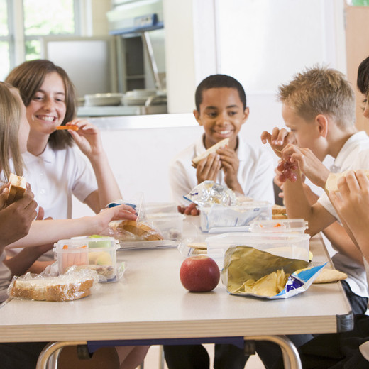 Healthy Living, Helpful Links